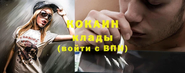 хмурый Сосновый Бор