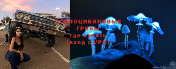 гашик Снежинск