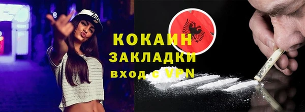 хмурый Сосновый Бор