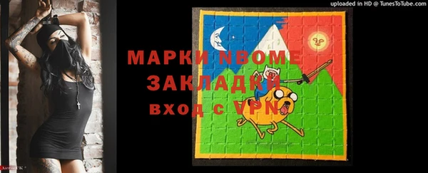 хмурый Сосновый Бор