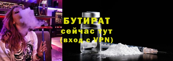 хмурый Сосновый Бор