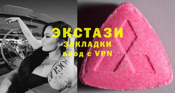 хмурый Сосновый Бор