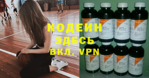 хмурый Сосновый Бор