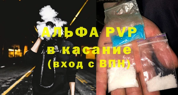 хмурый Сосновый Бор
