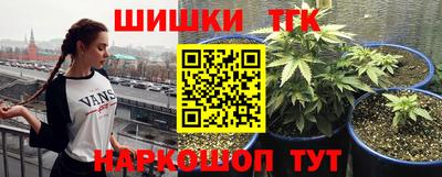 ПСИЛОЦИБИНОВЫЕ ГРИБЫ Канаш