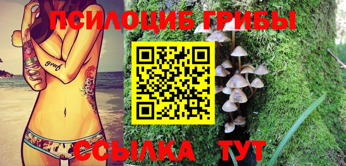 Псилоцибиновые грибы GOLDEN TEACHER Татарск