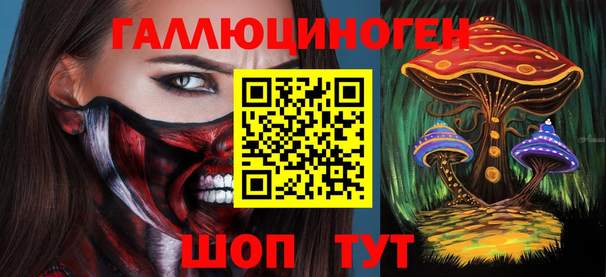 Псилоцибиновые грибы Cubensis  Вход с VPN  Татарск 